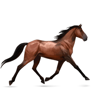 cavalo de passeio puro sangue lusitano ruço pigarço