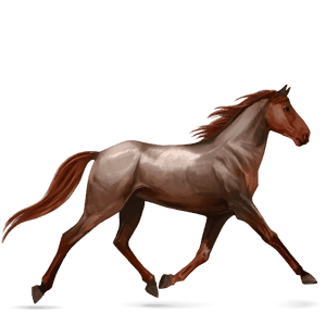 cavalo de passeio trotador francês lazão