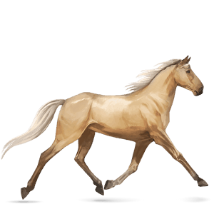 cavalo de passeio trotador francês lazão crinalvo 