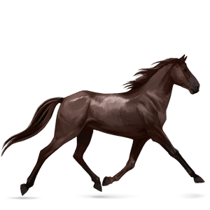 cavalo de passeio trotador francês lazão escuro