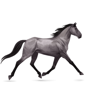 cavalo de passeio hanoveriano ruço pigarço