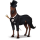 cavalo de passeio doutor lunático