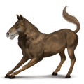 pégaso de passeio equinomem