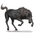 unicórnio de passeio equinomem