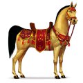 cavalo de passeio deserto
