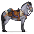 cavalo de passeio montanha