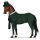 cavalo de passeio pelagem de inspetor lestrade