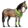 cavalo de passeio floresta