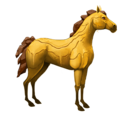 cavalo de passeio deserto