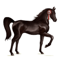 cavalo de passeio holstein preto