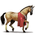 cavalo errante de civilização  colombo