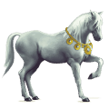 cavalo de passeio puro sangue lusitano castanho