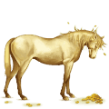 cavalo de passeio puro sangue lusitano castanho