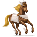 cavalo de passeio lipizzano castanho cereja