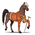 cavalo de passeio puro sangue lusitano preto