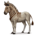 cavalo pré-histórico hidruntino