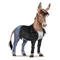cavalo errante musical