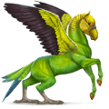 cavalo selvagem periquito