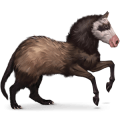 cavalo selvagem furão