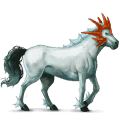 cavalo de passeio puro sangue lusitano baio