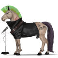 cavalo de passeio akhal-teke baio