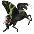 cavalo errante rainha-de-madagáscar