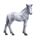 cavalo divino grani  2