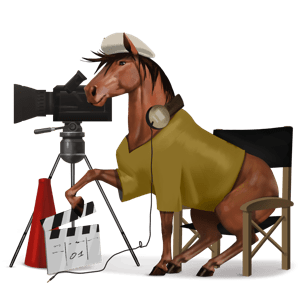 cavalo de passeio puro sangue lusitano ruço pigarço