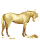 cavalo errante fortuna