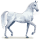 cavalo da água geada