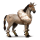 cavalo errante de civilização  haroldo