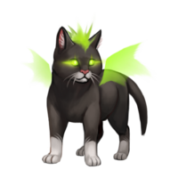 compagnon-cat-sidhe-9_v1713961017.png