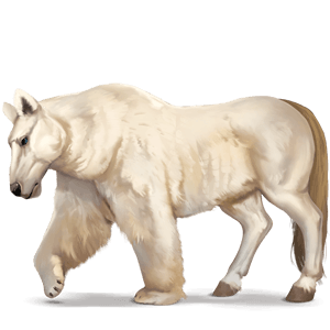 cavalo selvagem urso polar