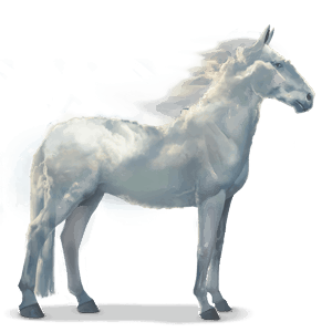cavalo da água nuvem