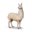 compagnon-lama.png