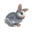 compagnon-lapin.png